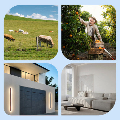 ✨ Skräm bort tjuvar! ✨ Upptäck vår solcellsdrivna säkerhetskamera med LED-blixt!