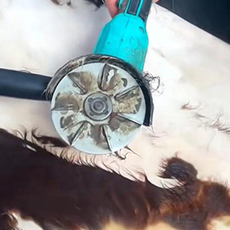 🐷✨Effektiv Hårskrapa för Djur - Tar Bort Enkelt Hund- och Kattlår från Möbler och Mattor med Ergonomiskt Design🏡✨