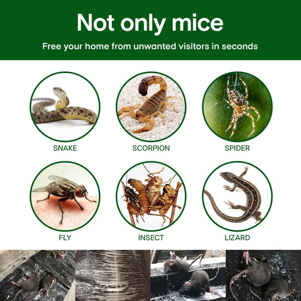 🐭Stor klibbig musfälla--💥Köp 2 få 1 gratis (3st)