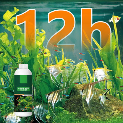🎉Pakke med god verdi💥 Alge- og mosefjerner for akvarium - trygg vannrensing
