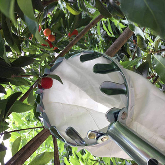 🍎🌳 Praktisk fruktplockare med korg – plocka frukt direkt från trädet utan att klättra 🧺✨