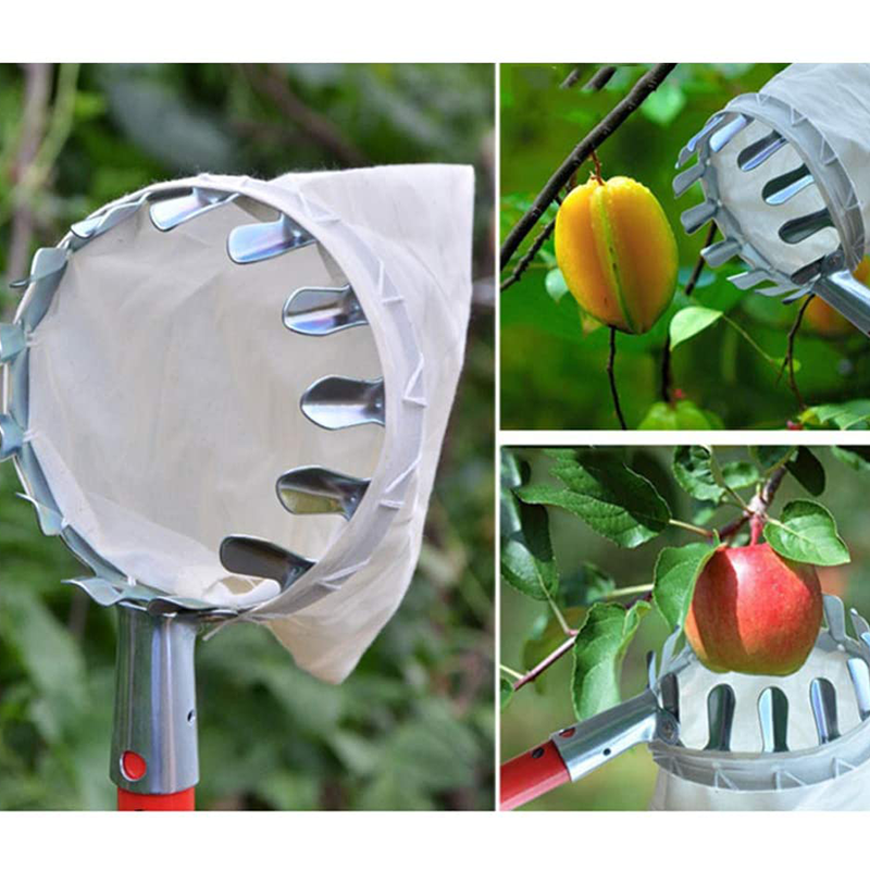 🍎🌳 Praktisk fruktplockare med korg – plocka frukt direkt från trädet utan att klättra 🧺✨
