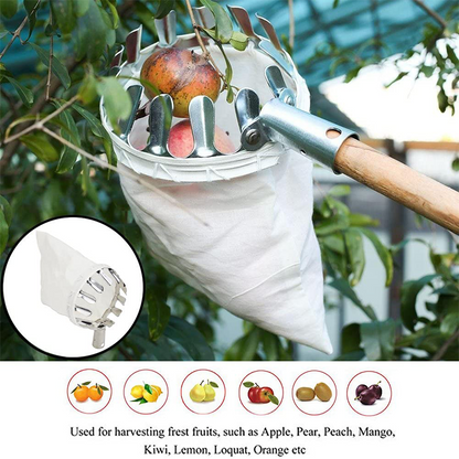 🍎🌳 Praktisk fruktplockare med korg – plocka frukt direkt från trädet utan att klättra 🧺✨