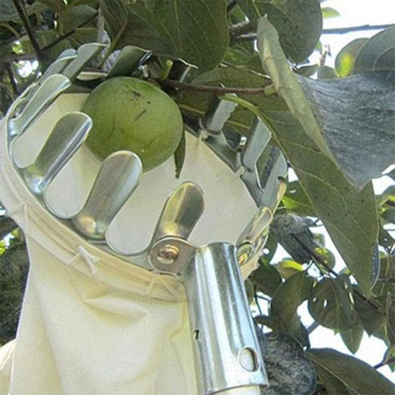 🍎🌳 Praktisk fruktplockare med korg – plocka frukt direkt från trädet utan att klättra 🧺✨